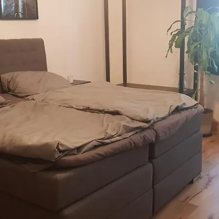 Moderne In Zentrumsnaehe Mit Balkon *